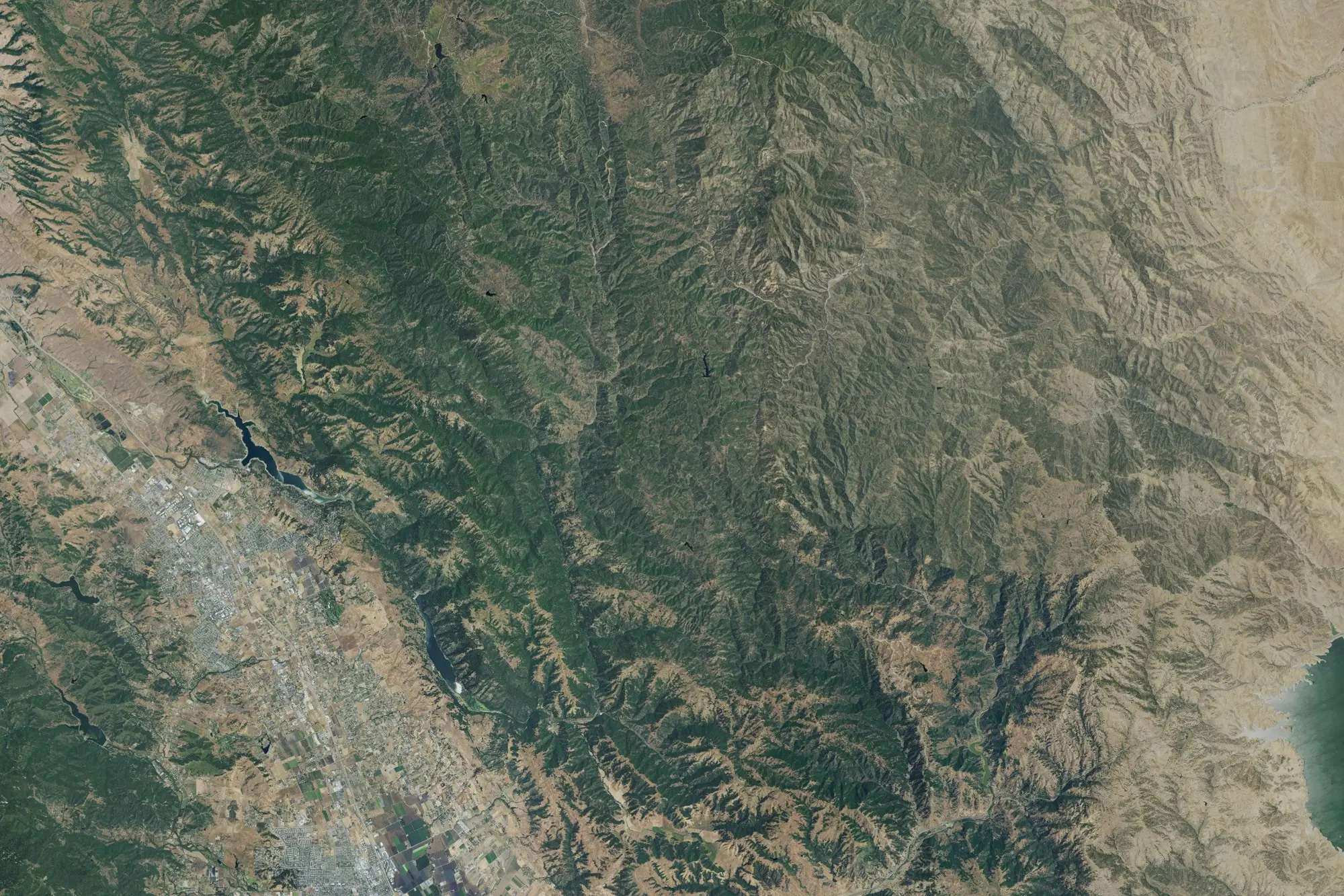 Aerial view of Henry W. Coe State Park