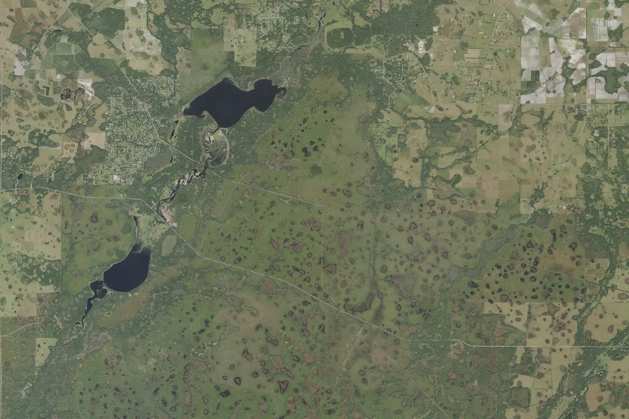 Aerial view of Myakka River State Park