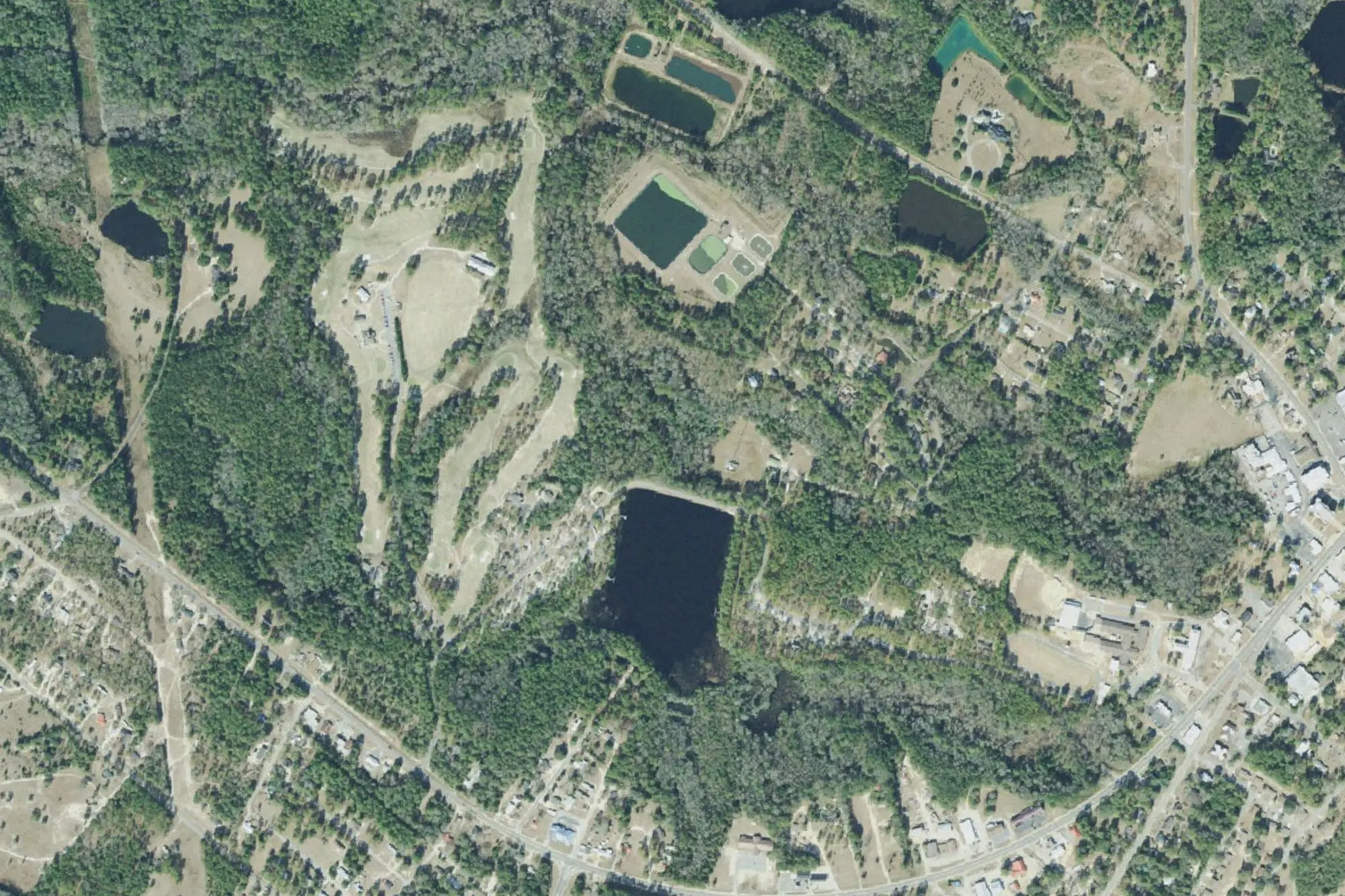 Aerial view of Gordonia Alatamaha State Park