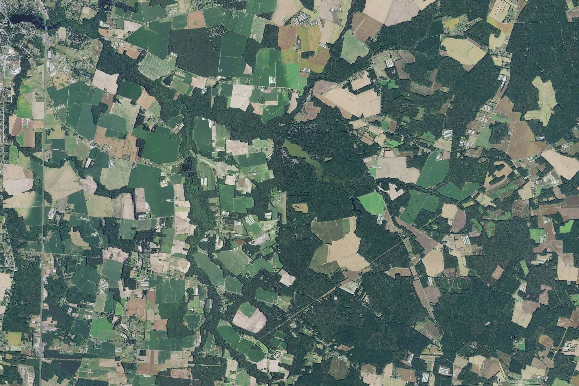 Aerial view of Trap Pond State Park