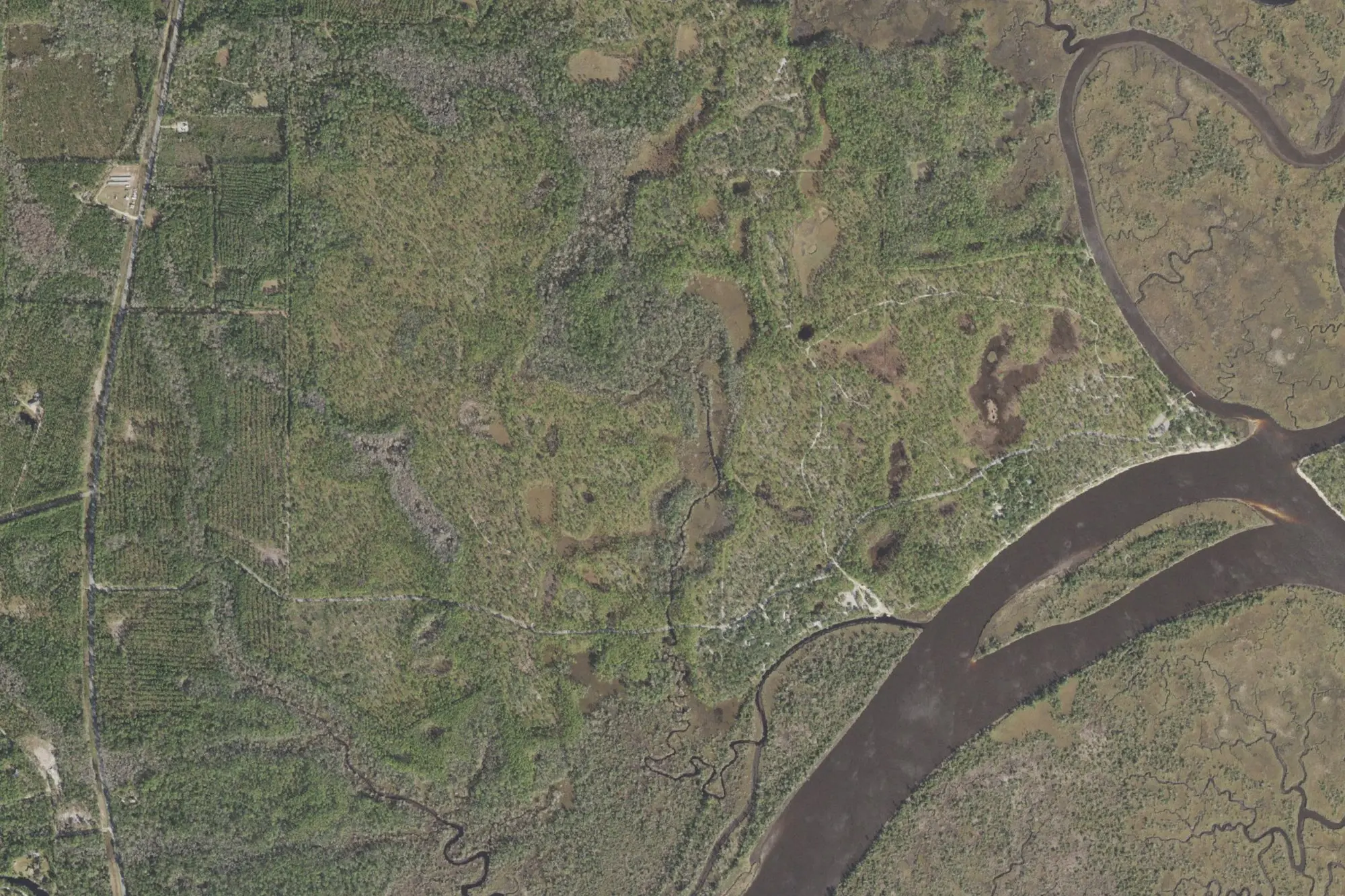 Aerial view of Ochlockonee River State Park