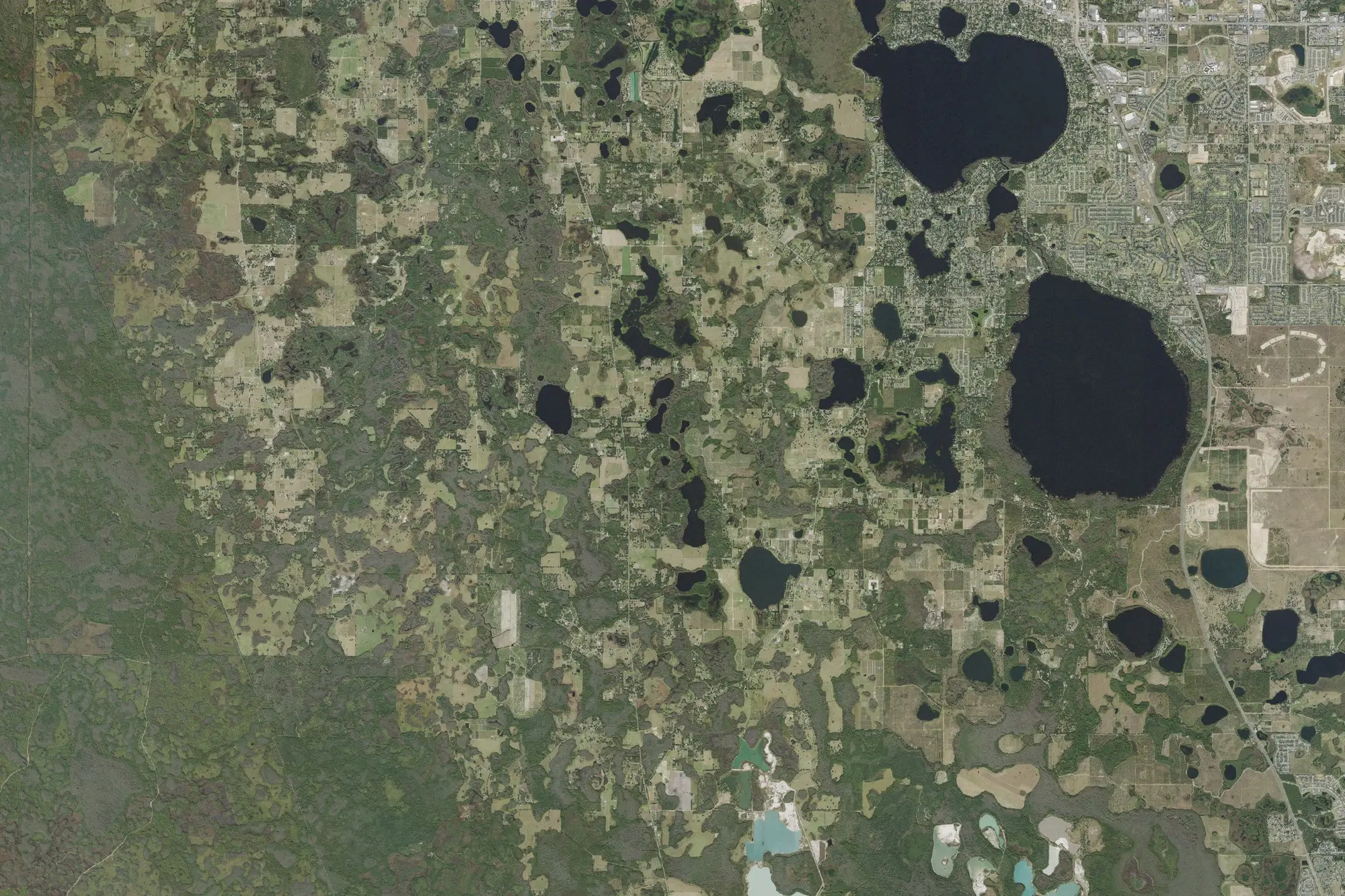 Aerial view of Lake Louisa State Park