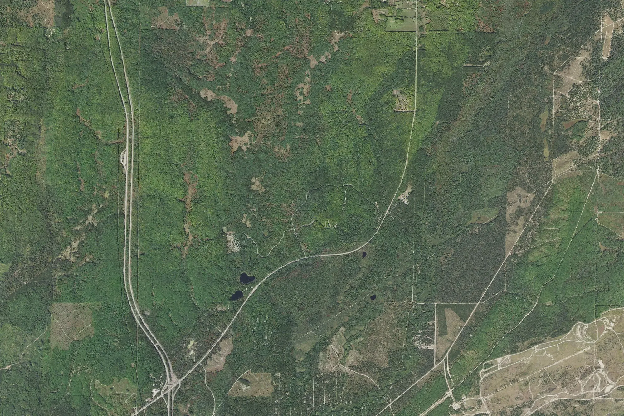 Aerial view of Hartwick Pines State Park