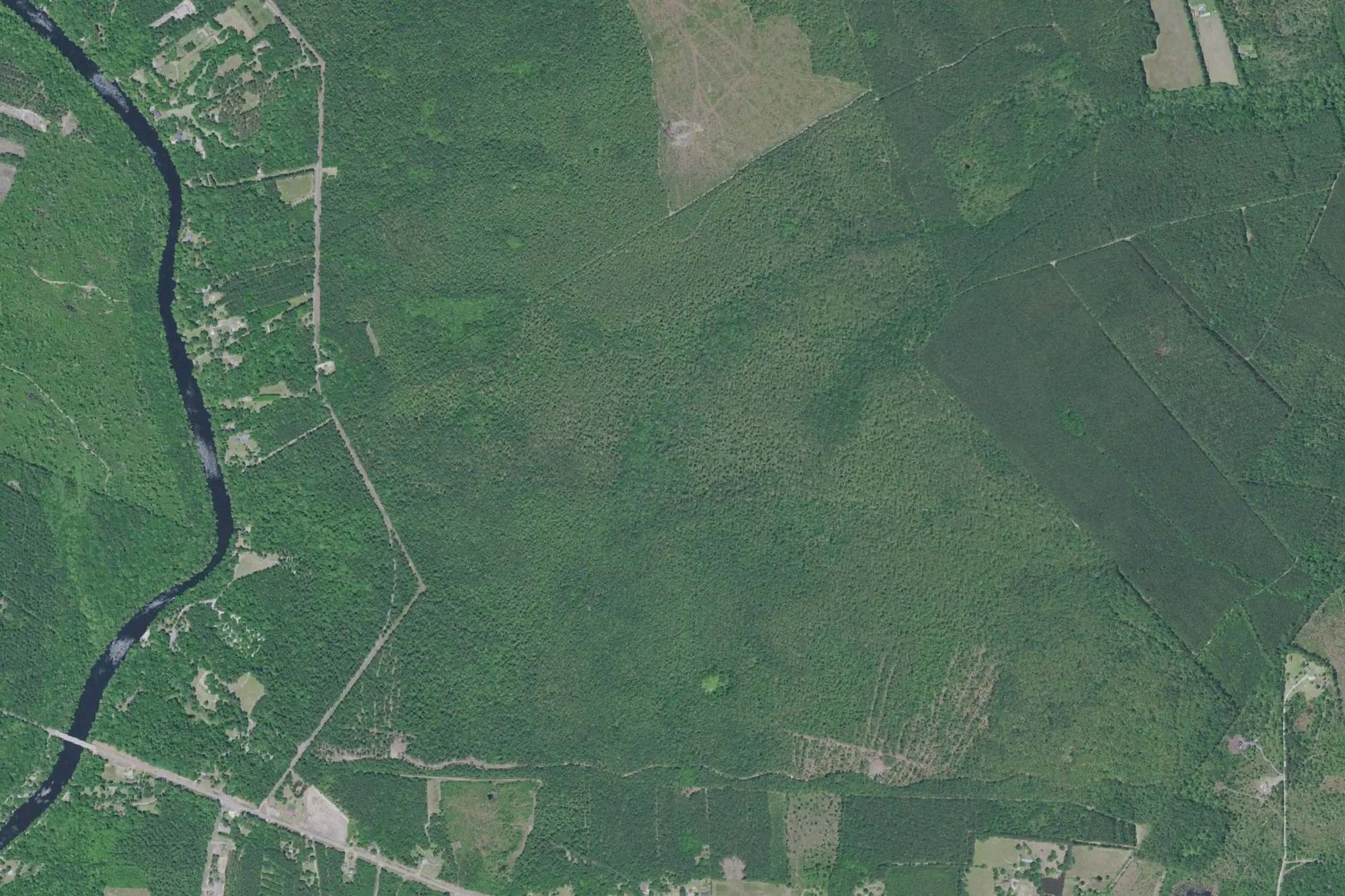 Aerial view of Givhans Ferry State Park