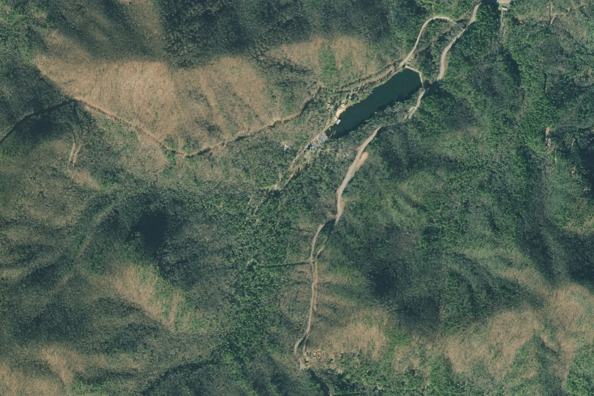 Aerial view of Vogel State Park