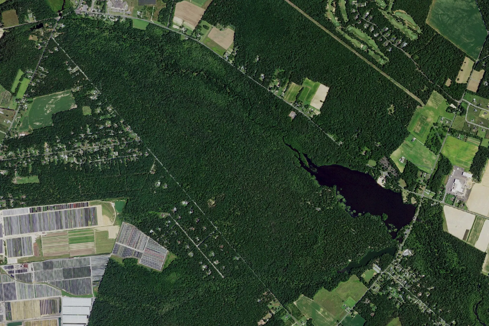 Aerial view of Parvin State Park