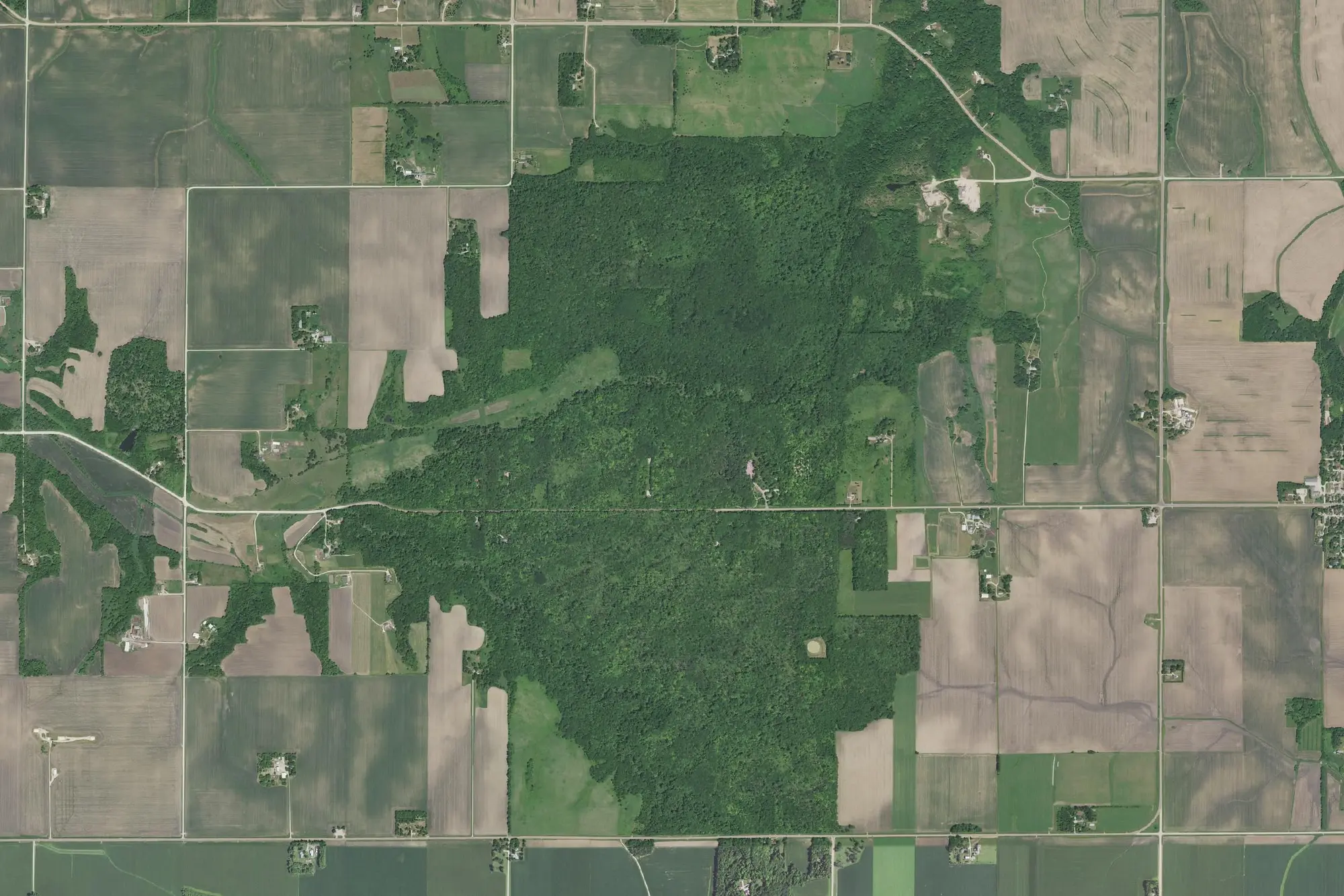 Aerial view of Nerstrand Big Woods State Park