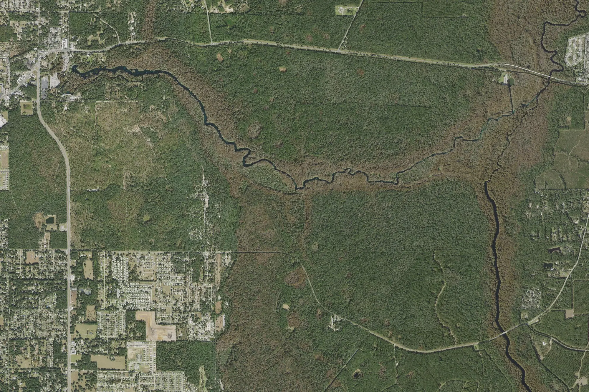 Aerial view of Silver River State Park
