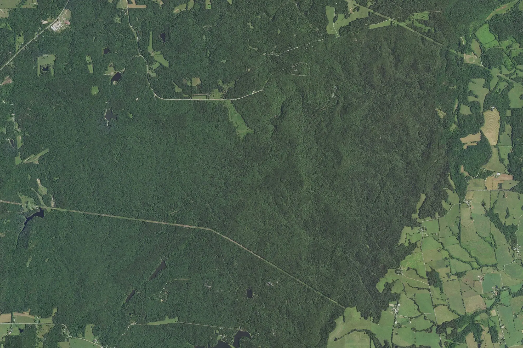 Aerial view of Hawn State Park