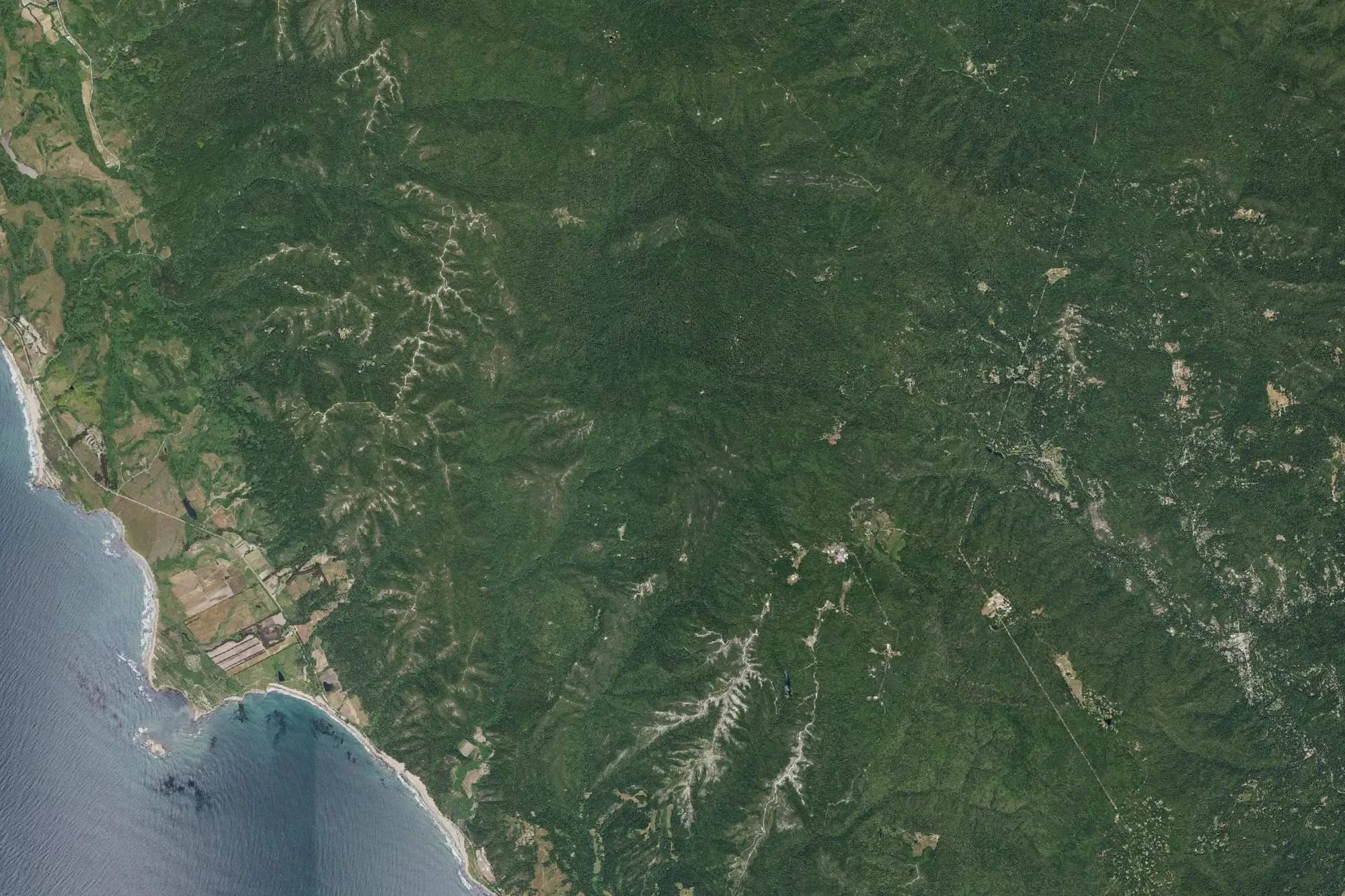Aerial view of Big Basin Redwoods State Park