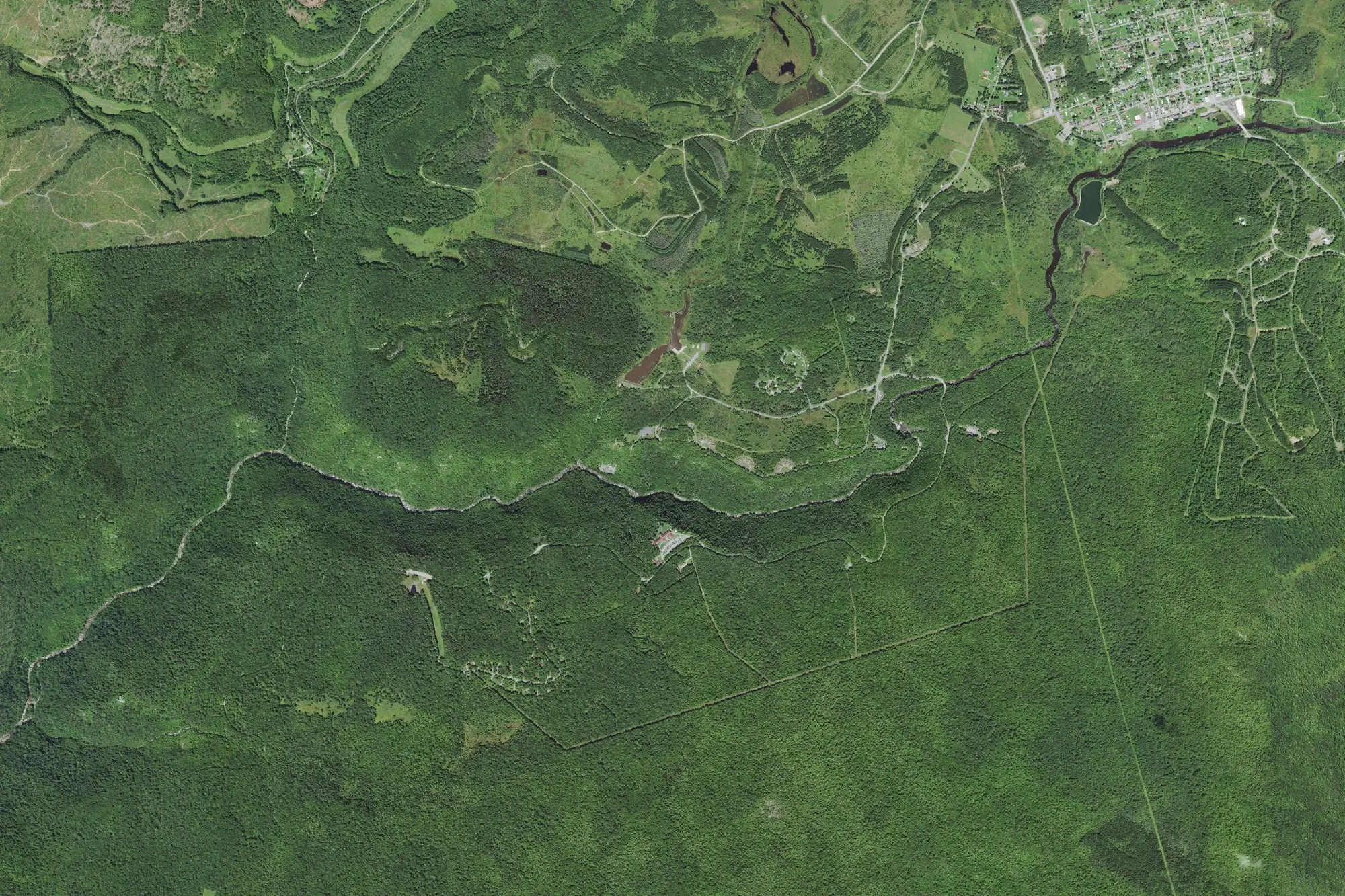 Aerial view of Blackwater Falls State Park