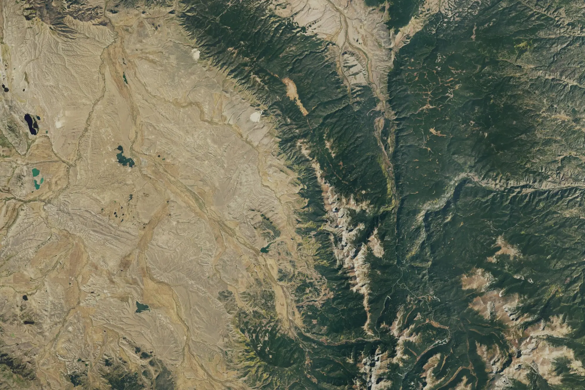 Aerial view of State Forest State Park
