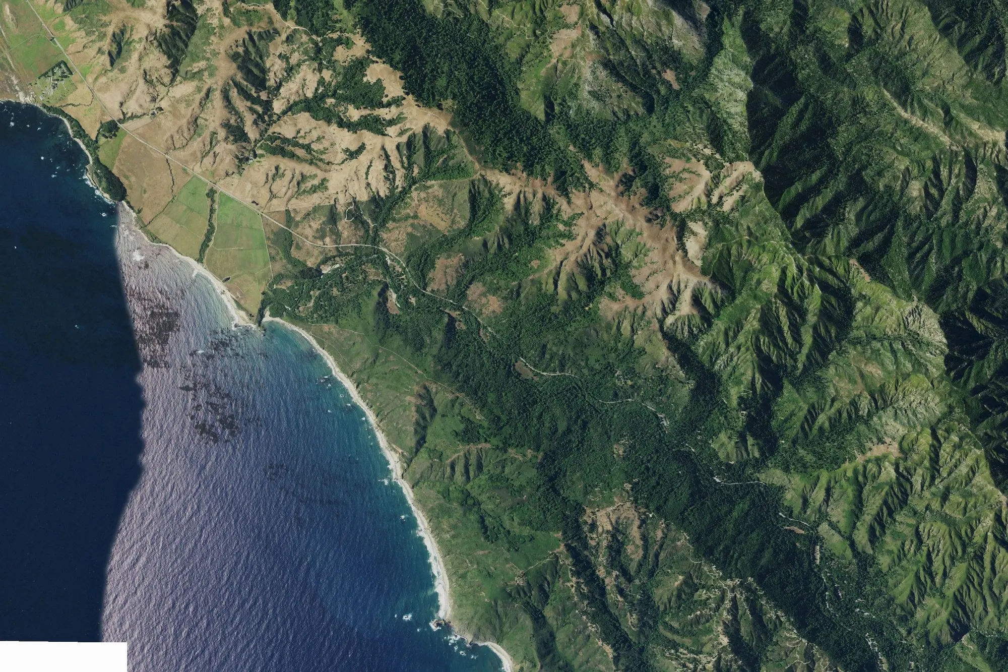 Aerial view of Andrew Molera State Park