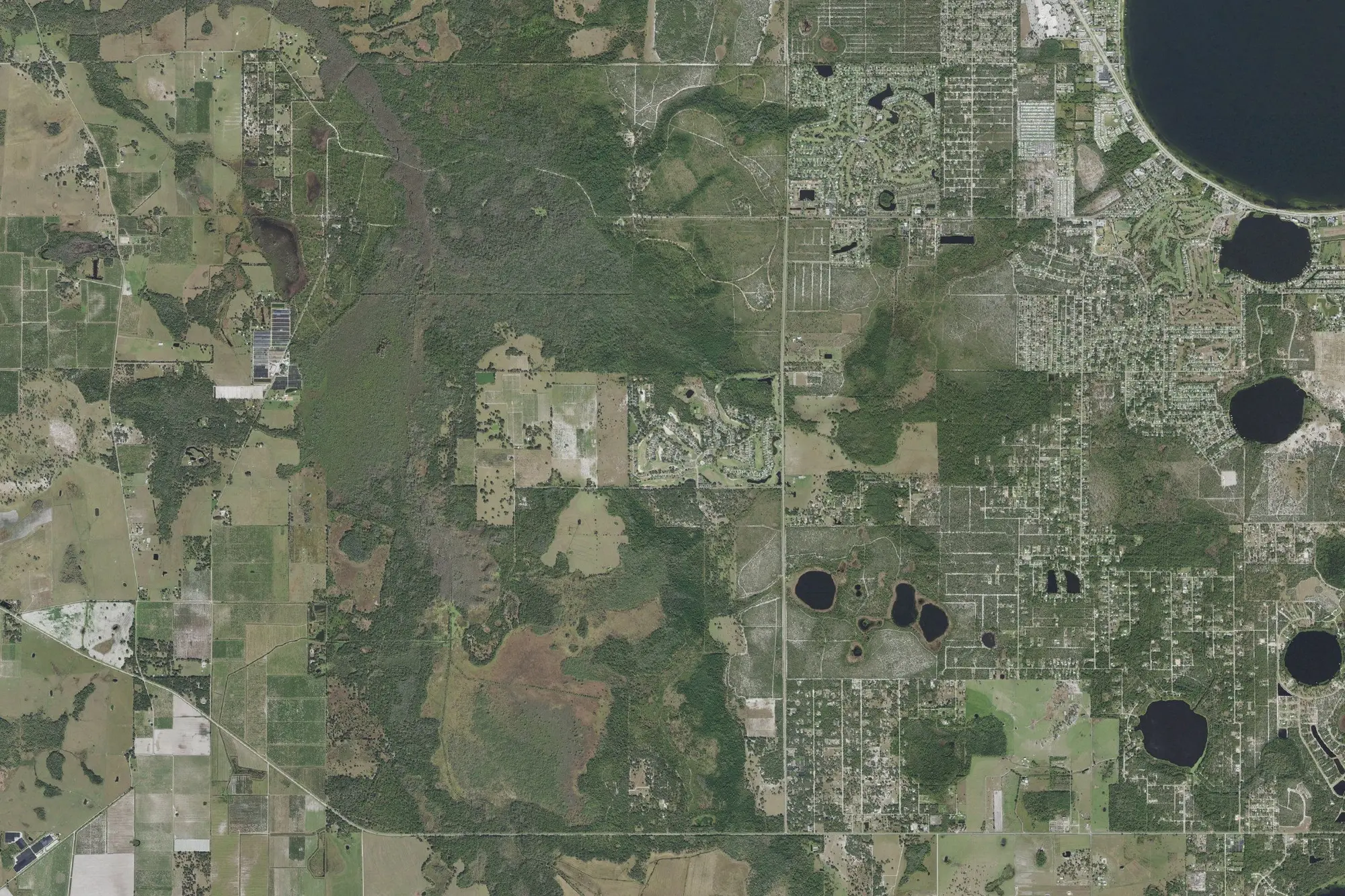 Aerial view of Highlands Hammock State Park