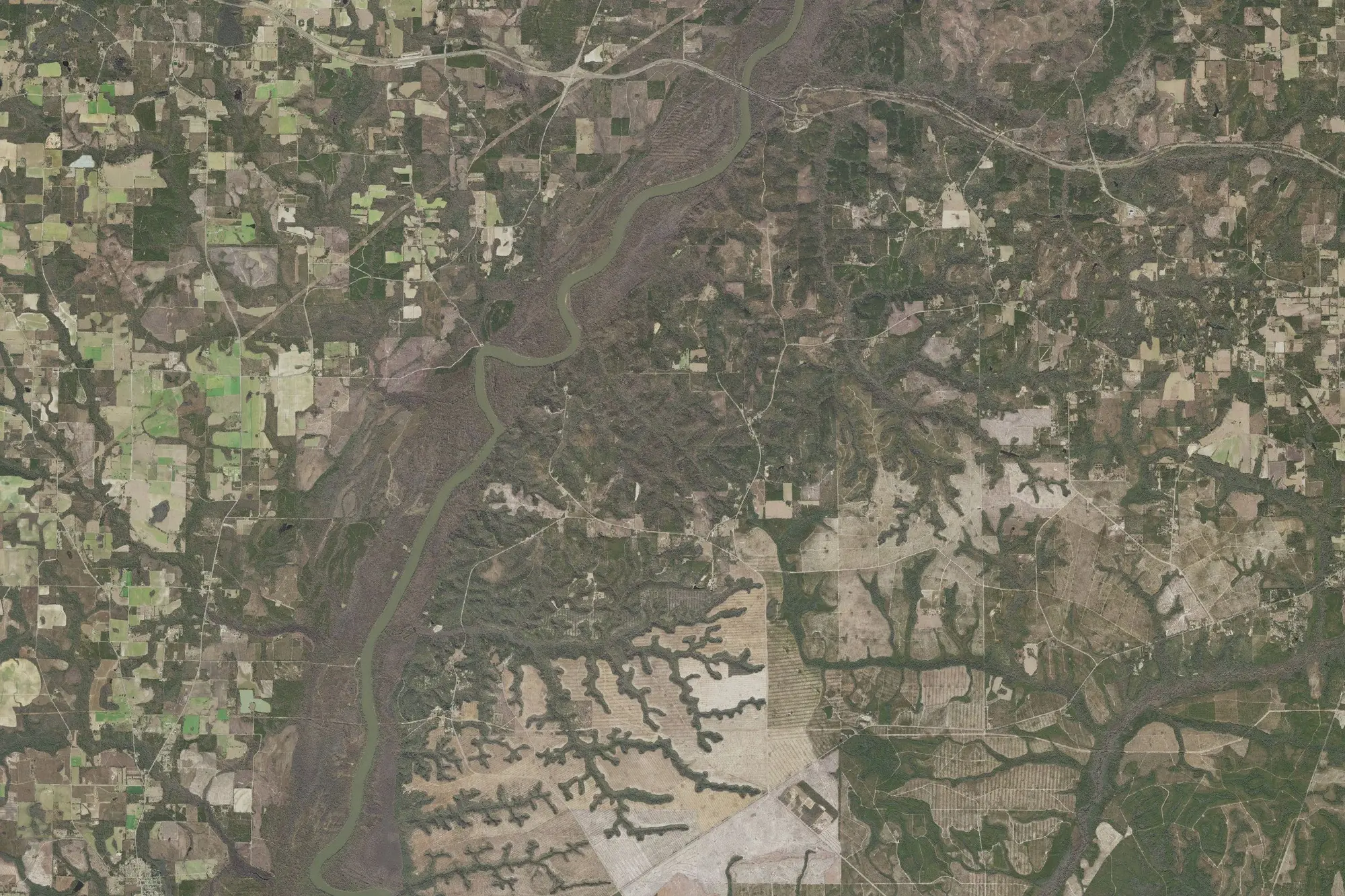 Aerial view of Torreya State Park