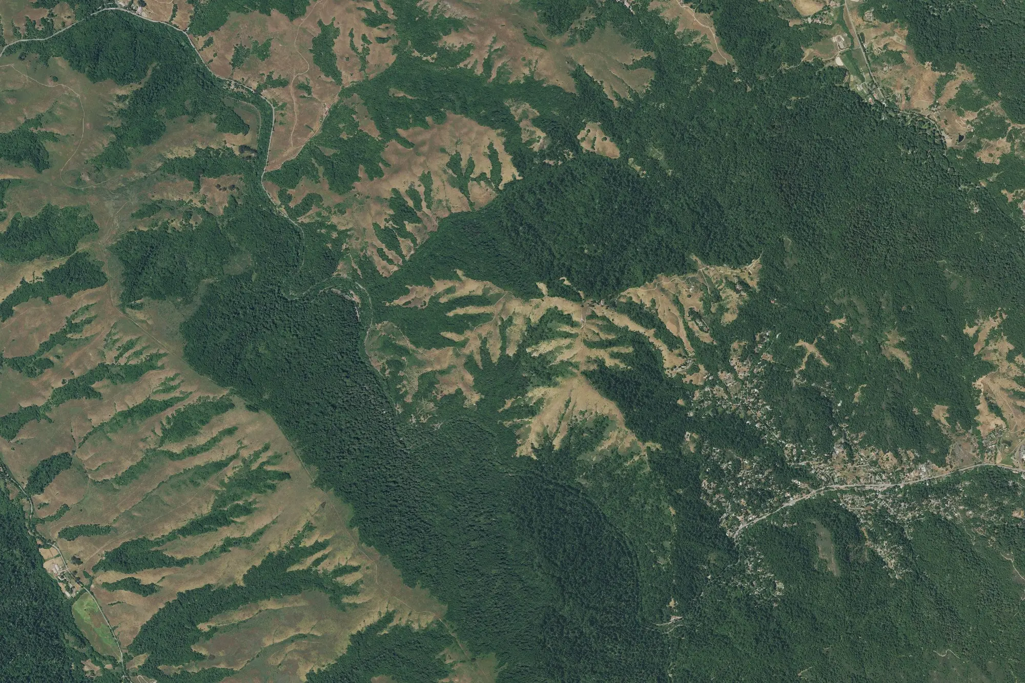 Aerial view of Samuel P. Taylor State Park