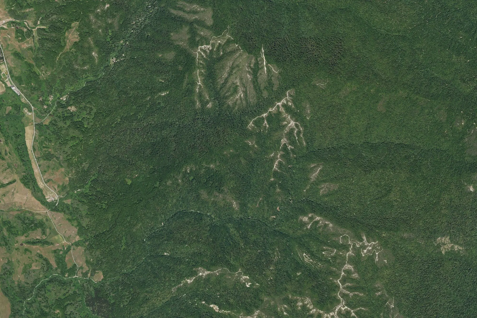 Aerial view of Butano State Park