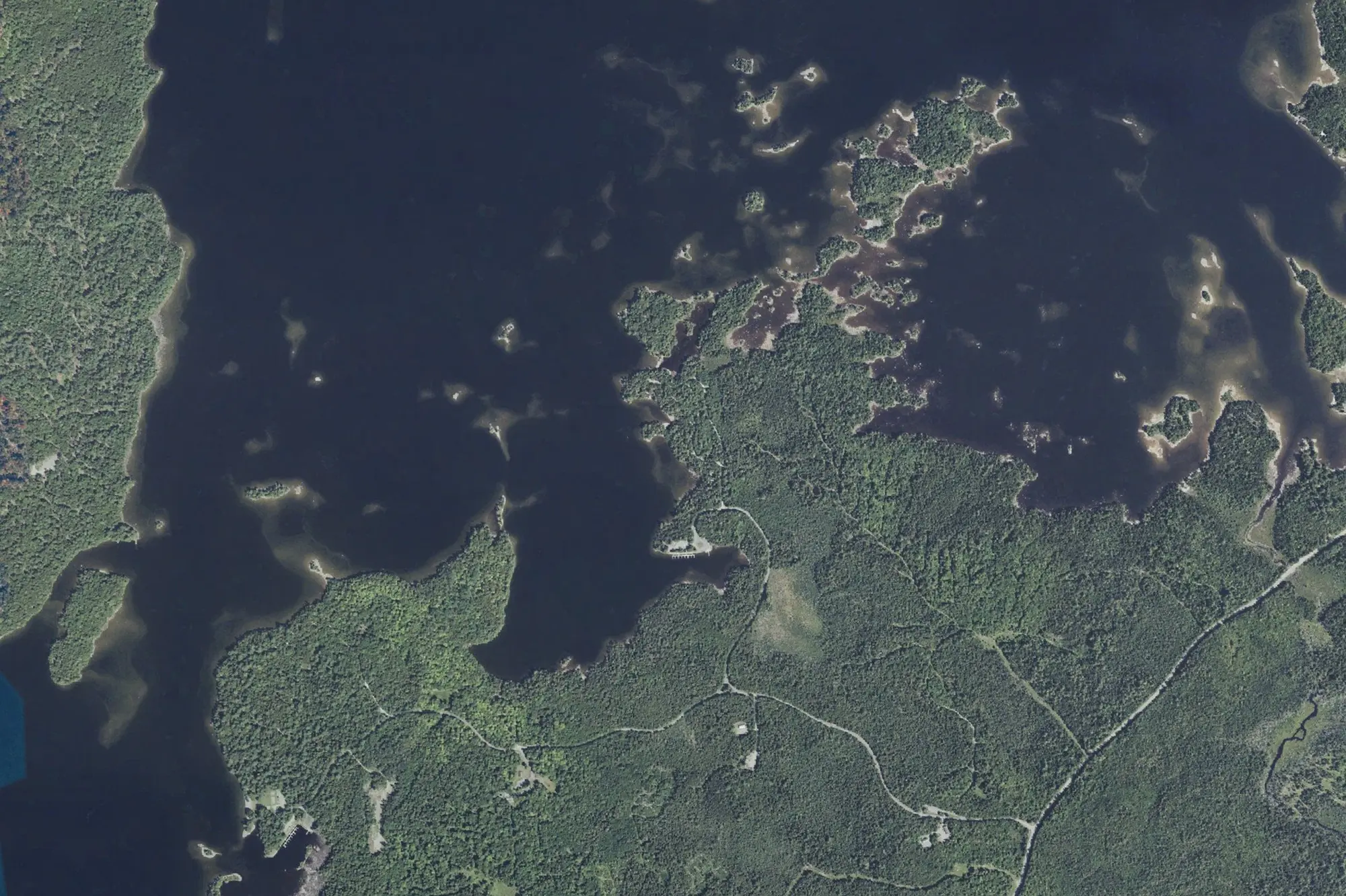 Aerial view of Lily Bay