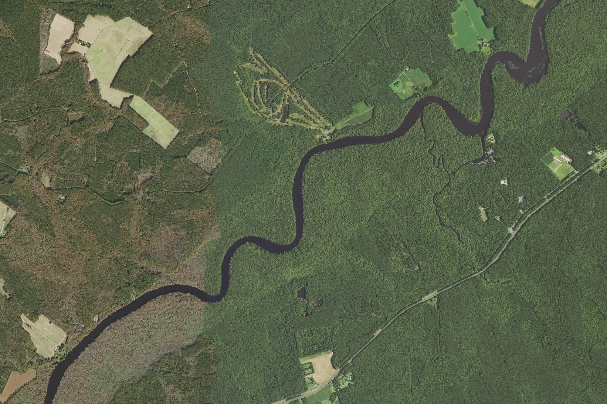 Aerial view of Pocomoke River Sp
