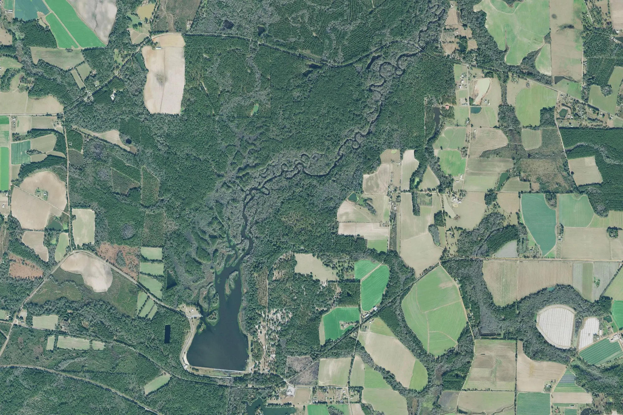 Aerial view of Reed Bingham State Park