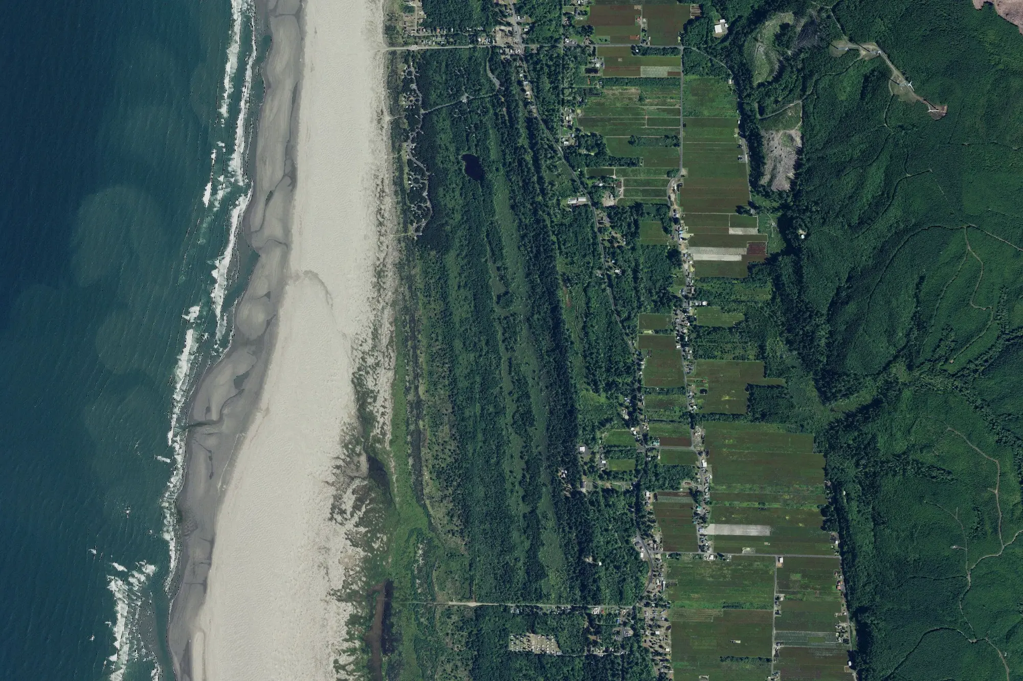 Aerial view of Grayland Beach