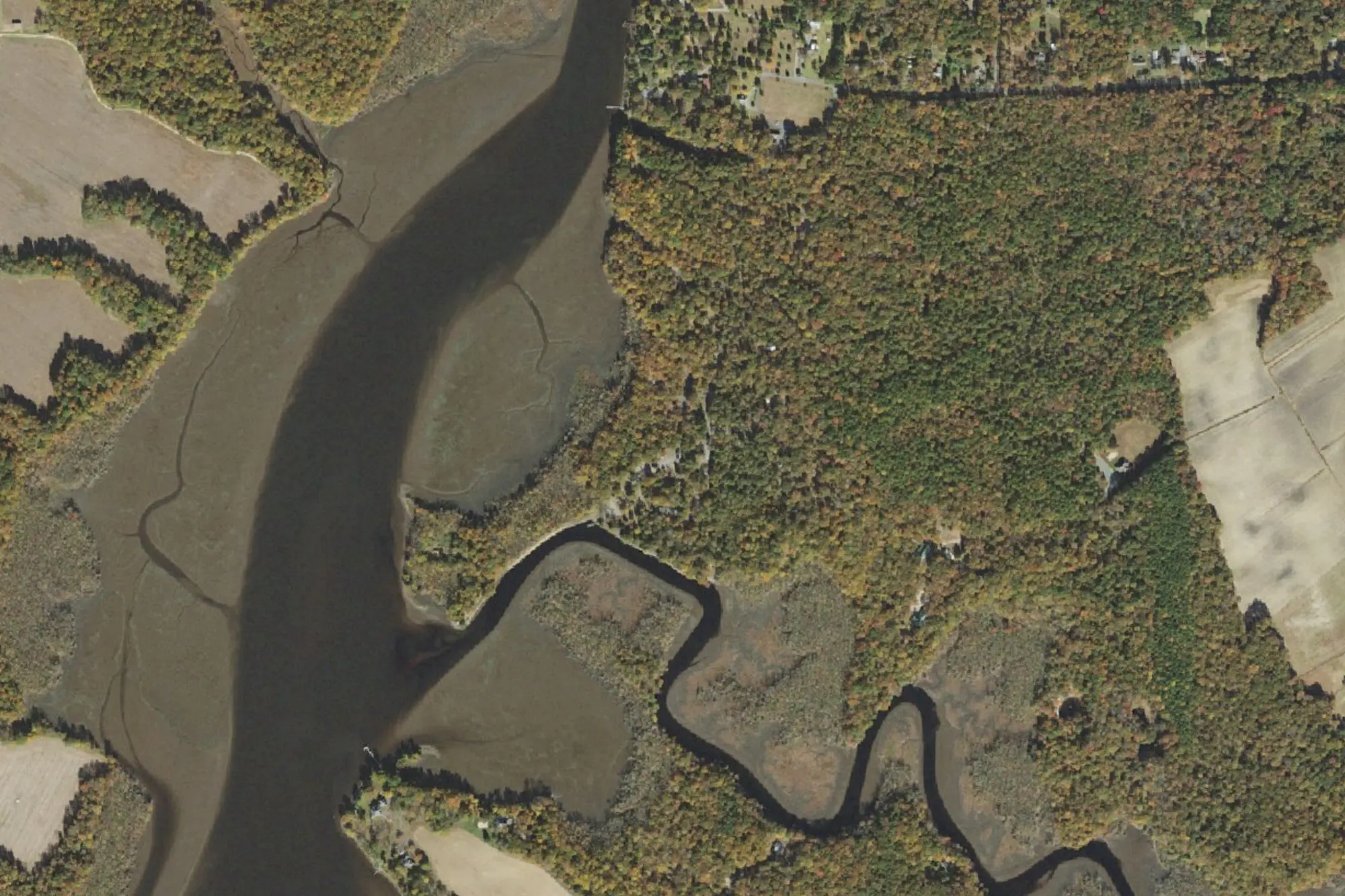 Aerial view of Martinak State Park