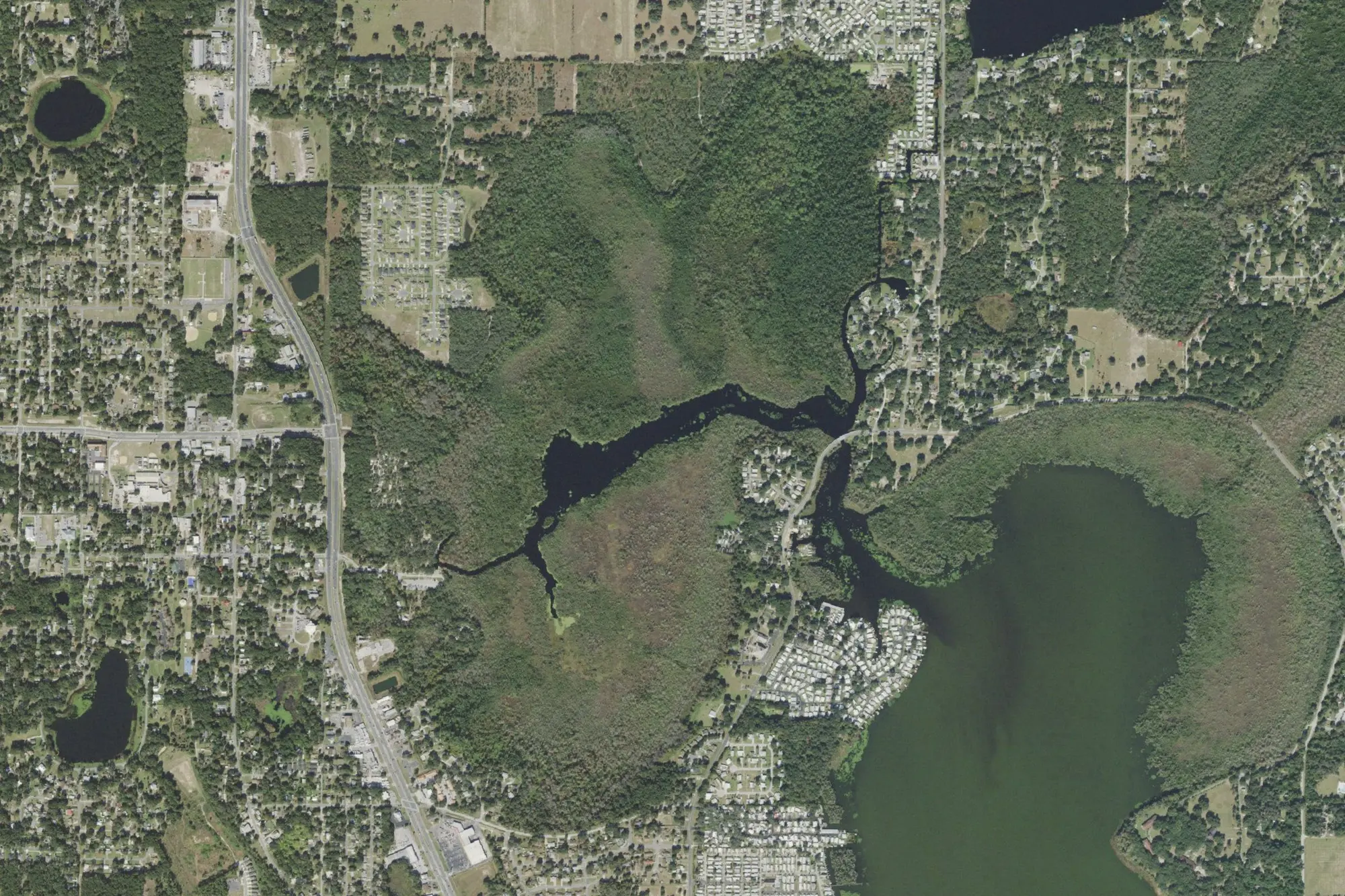 Aerial view of Lake Griffin State Park