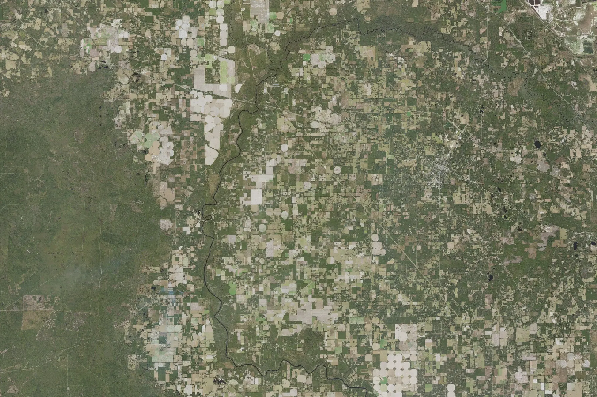 Aerial view of Suwannee River State Park