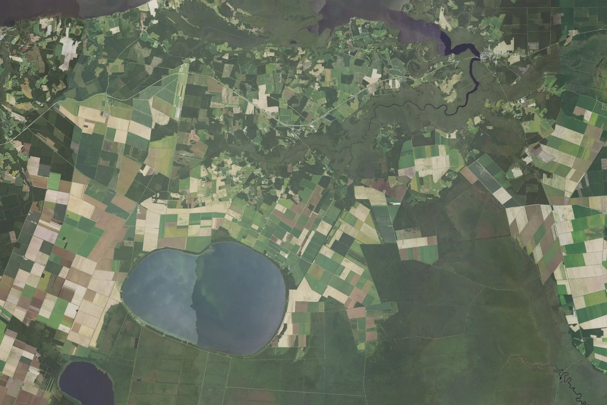 Aerial view of Pettigrew State Park