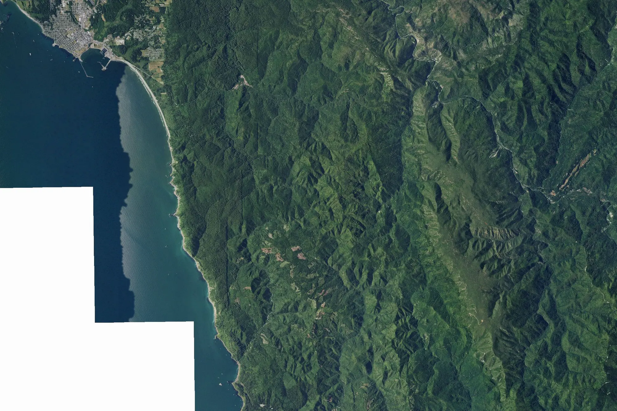 Aerial view of Del Norte Coast Redwoods State Park