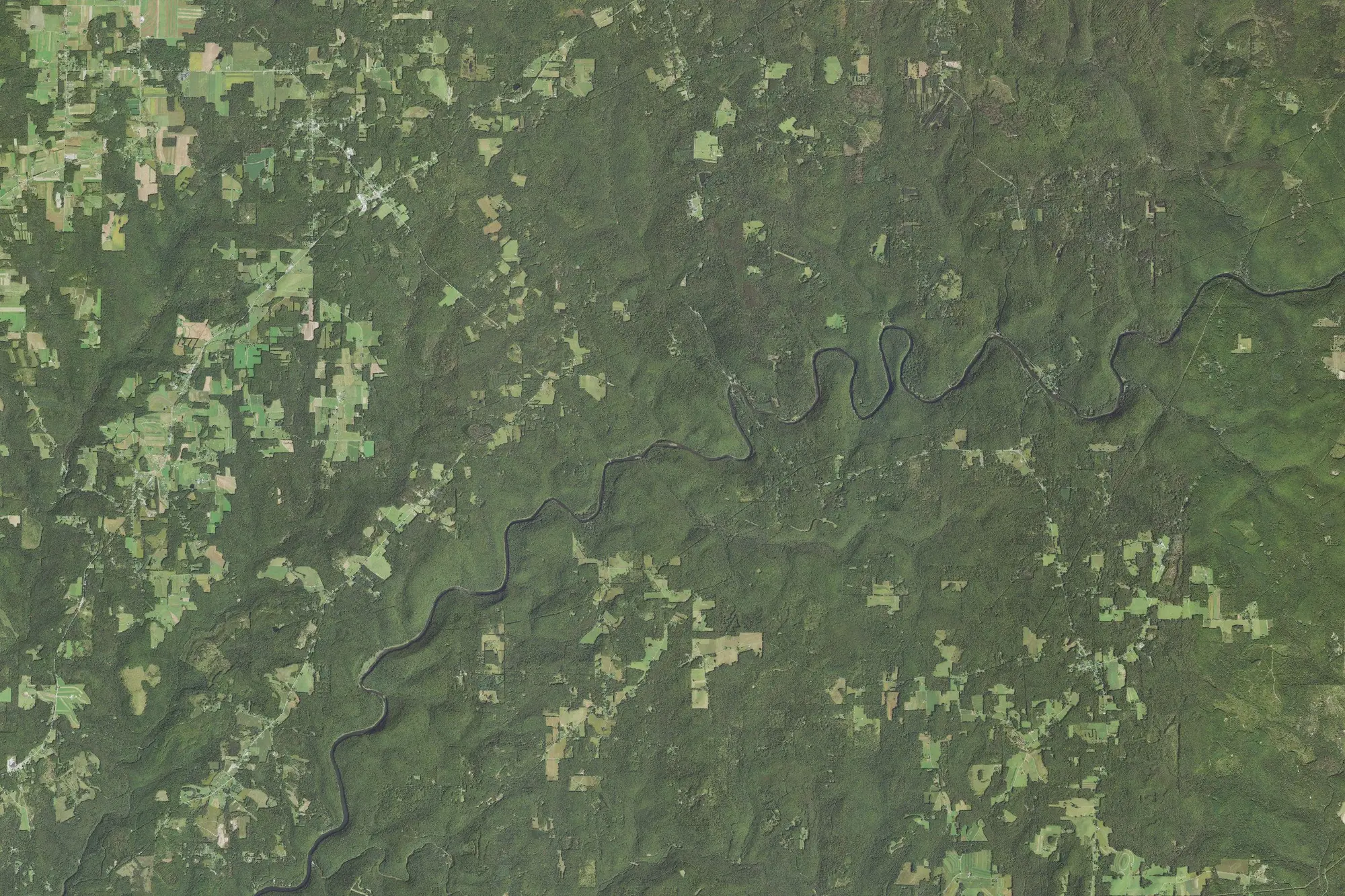 Aerial view of Cook Forest State Park