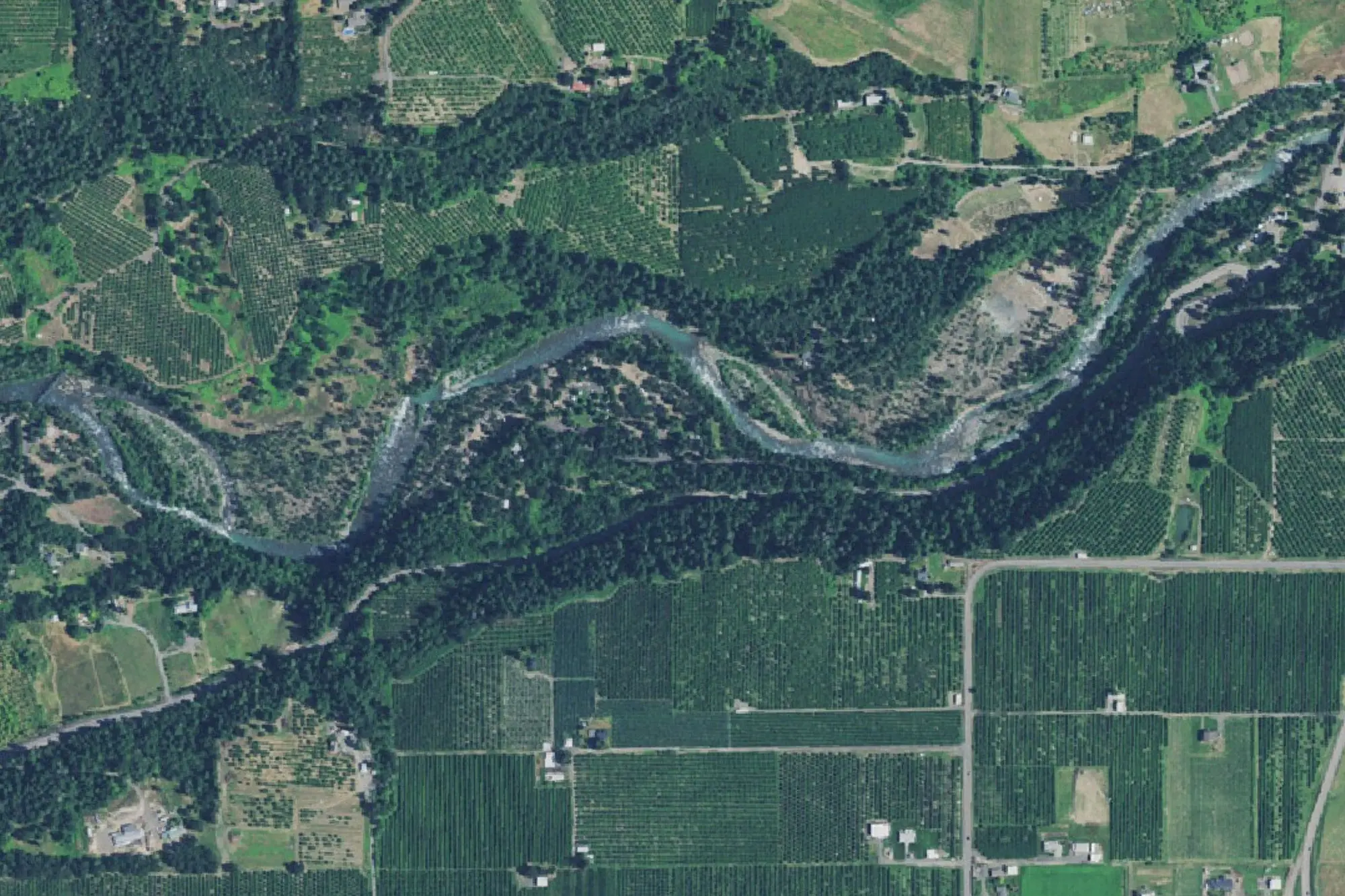 Aerial view of Tucker Park