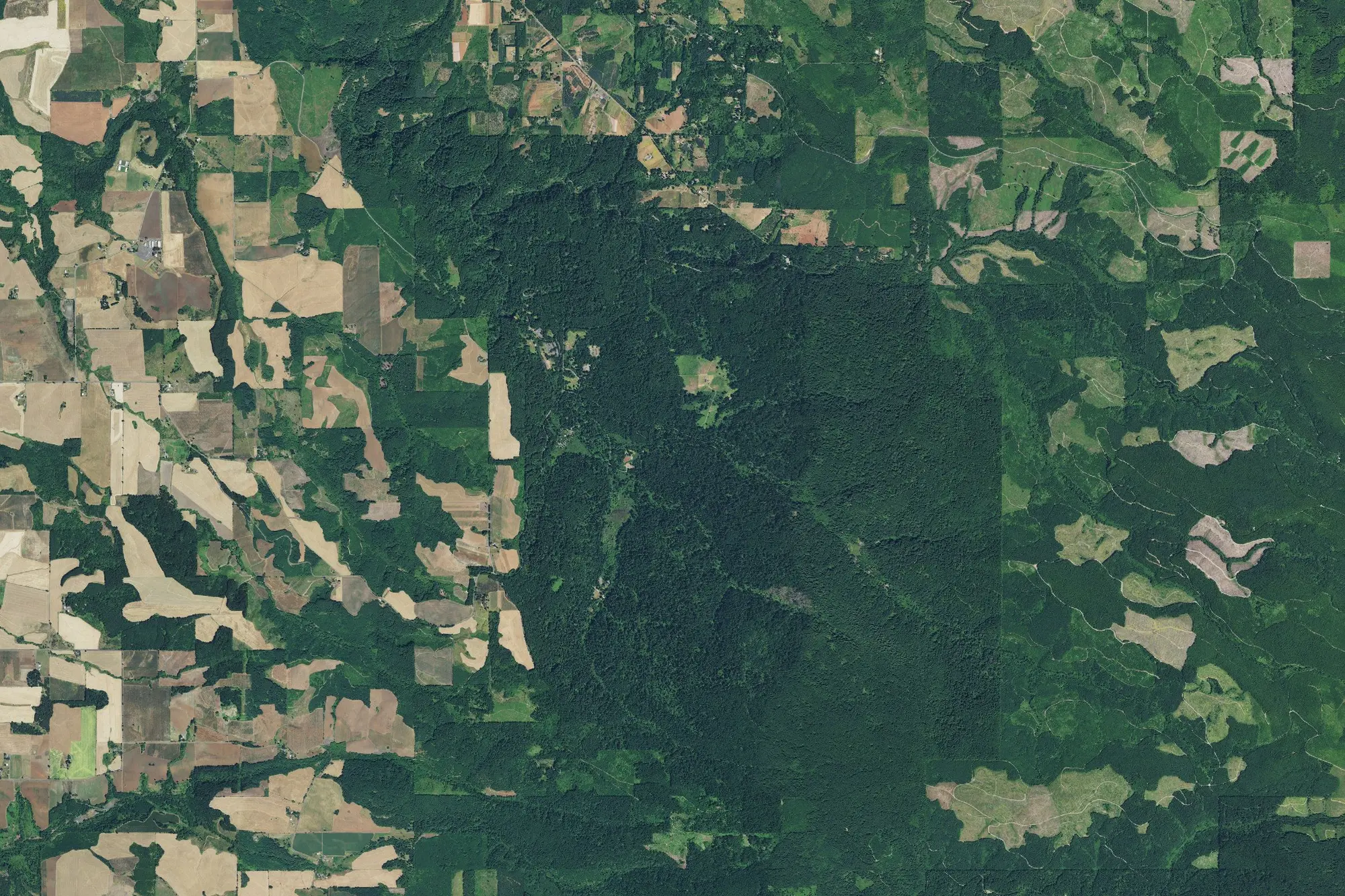 Aerial view of Silver Falls State Park