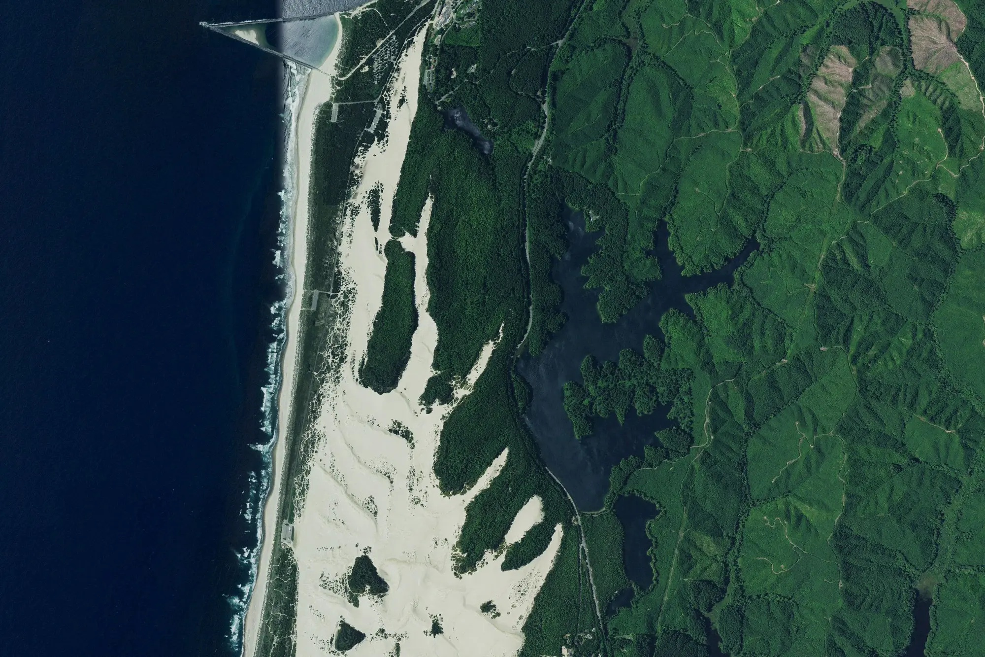 Aerial view of Umpqua Lighthouse State Park