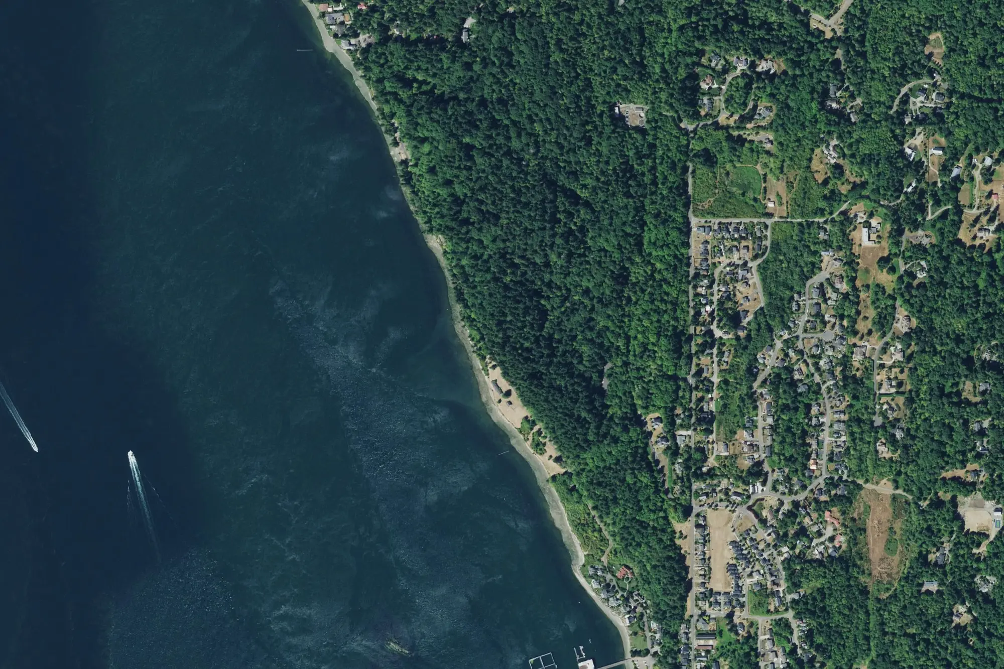 Aerial view of Fort Ward Park