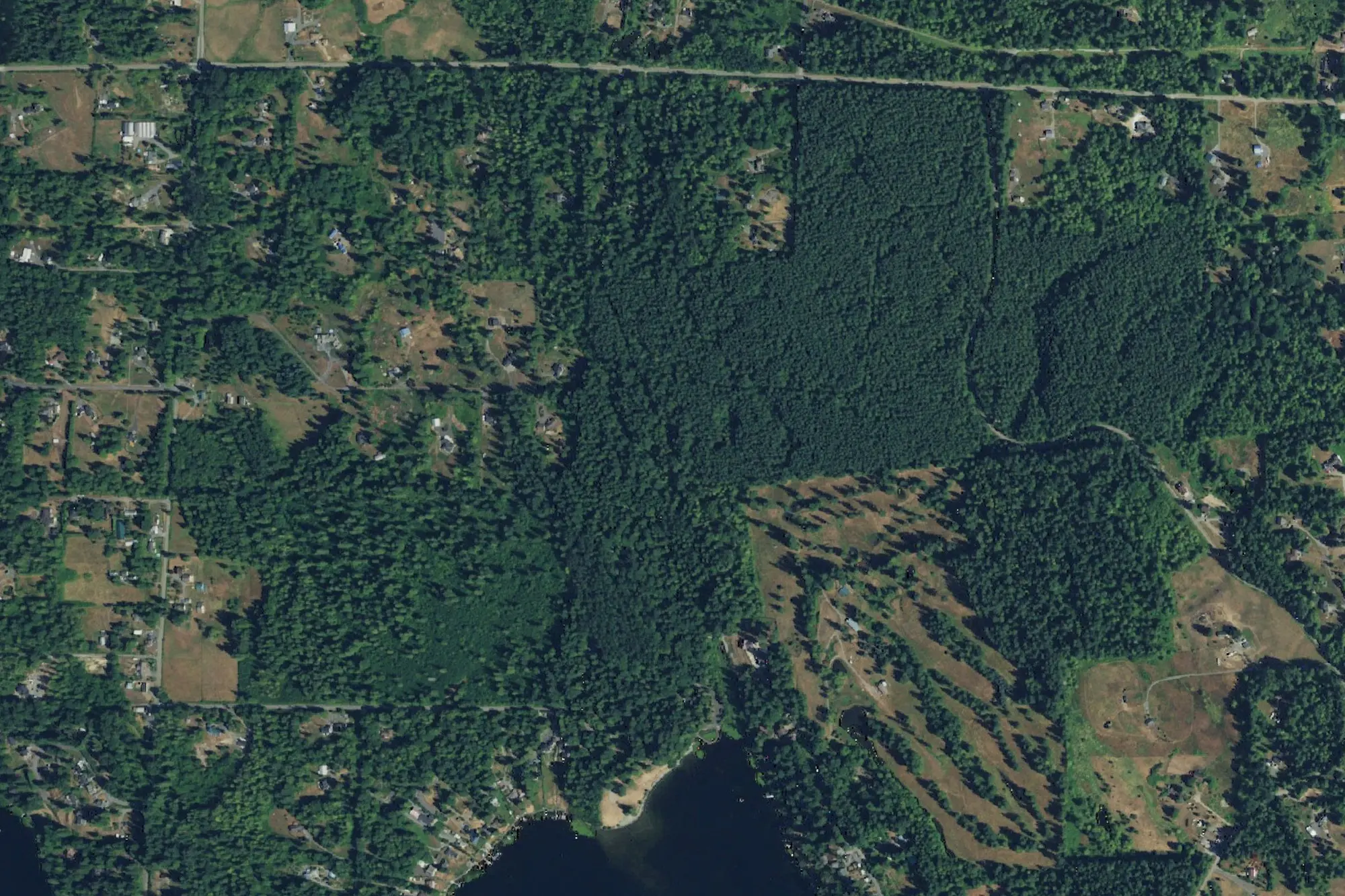 Aerial view of Flowing Lake Park
