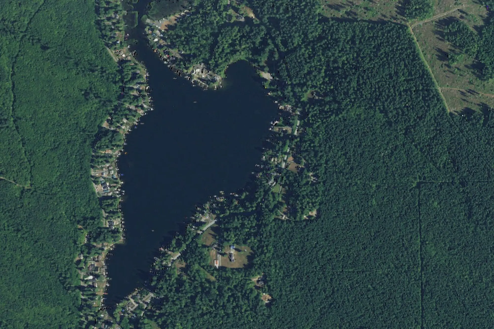Aerial view of Roesiger Lake Park