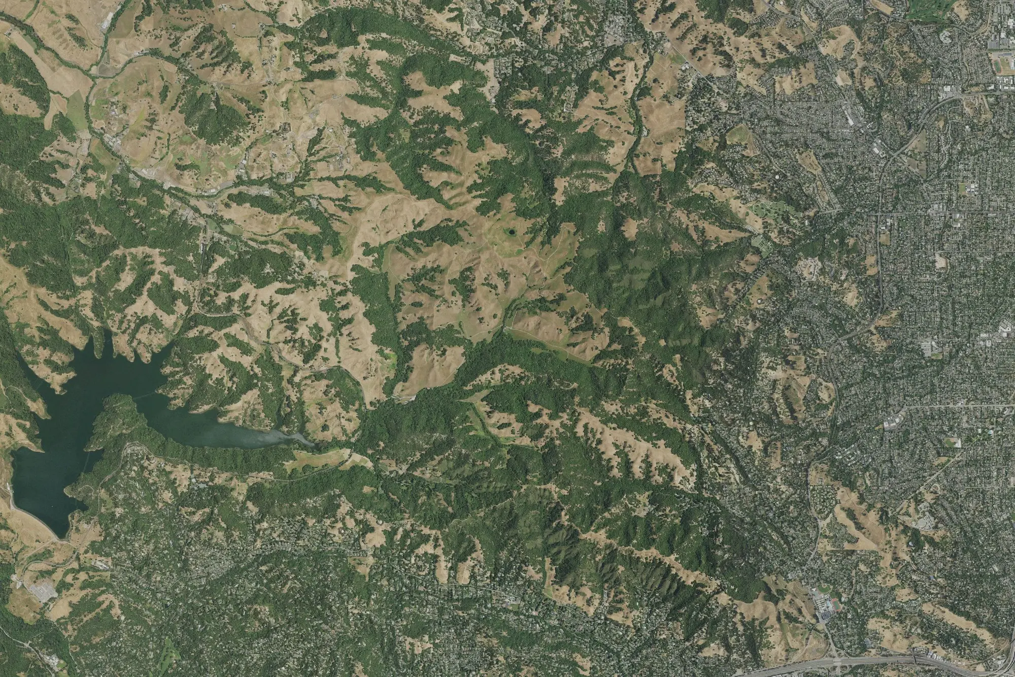 Aerial view of Briones Regional Park