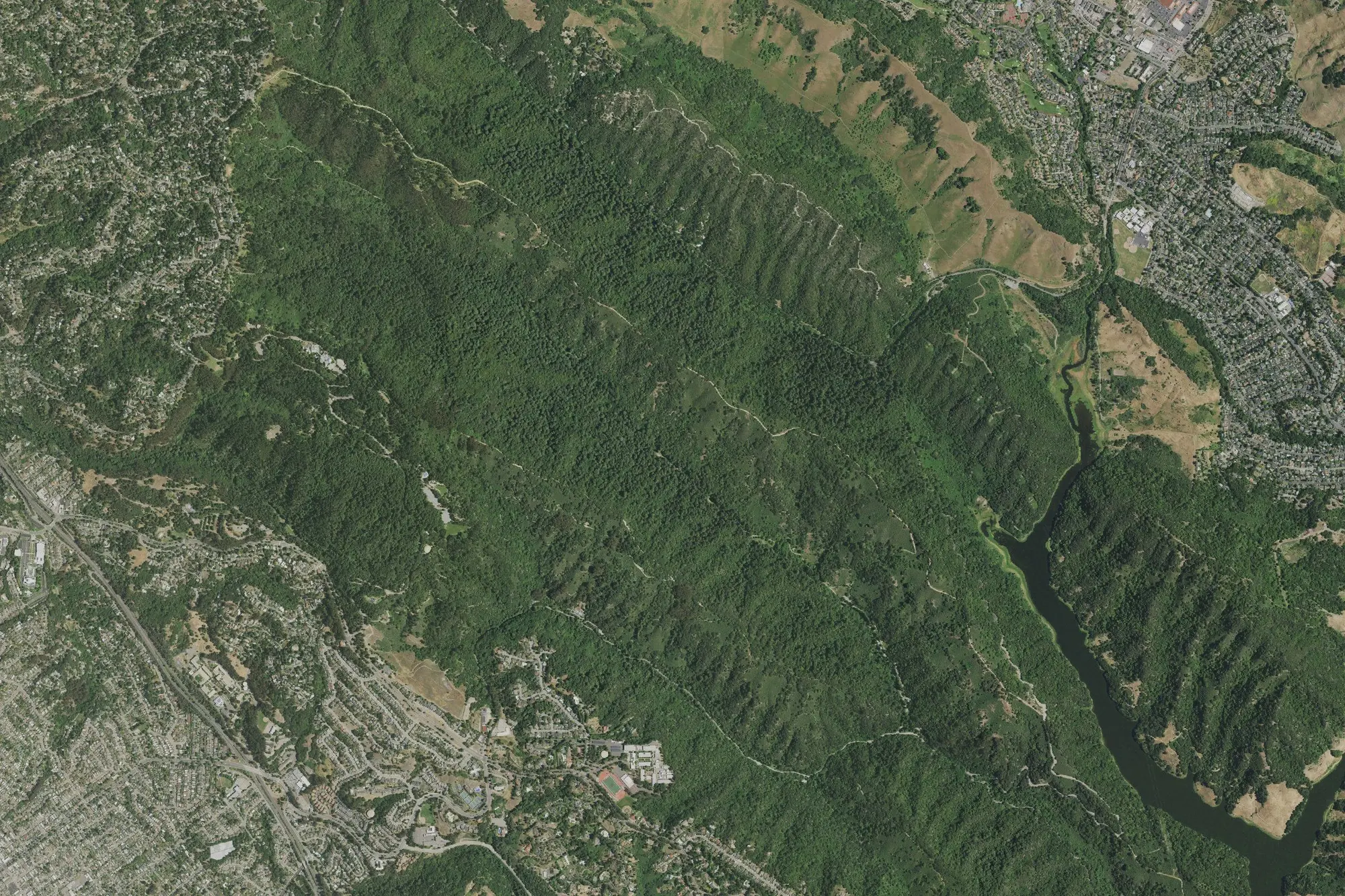 Aerial view of Redwood Regional Park