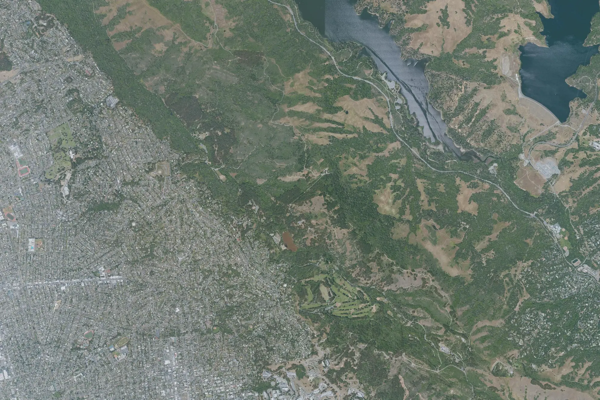 Aerial view of Tilden Regional Park