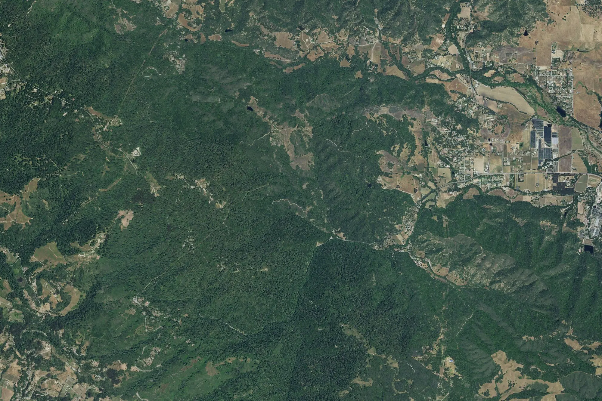 Aerial view of Mount Madonna County Park