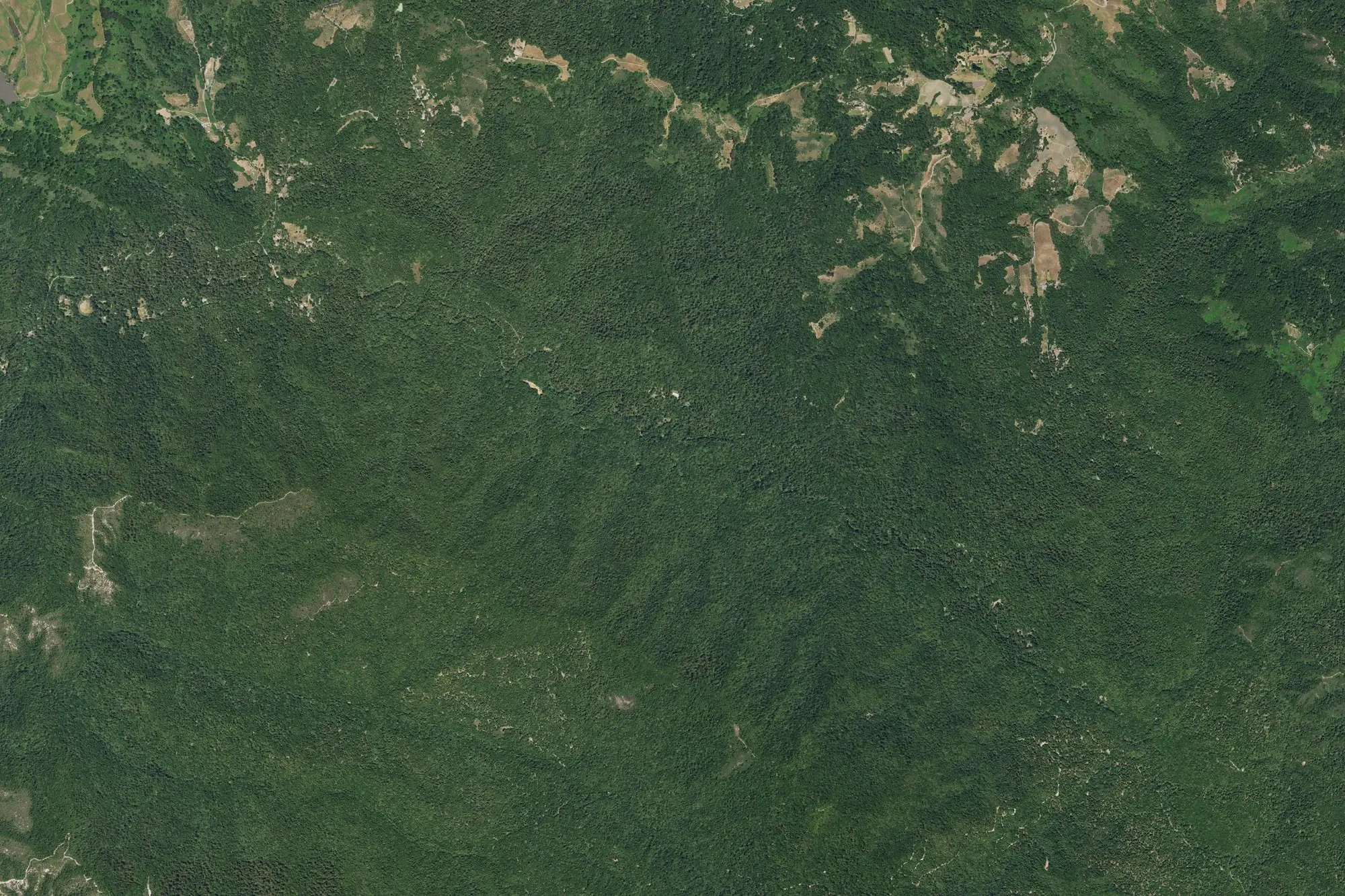 Aerial view of Pescadero Creek Park