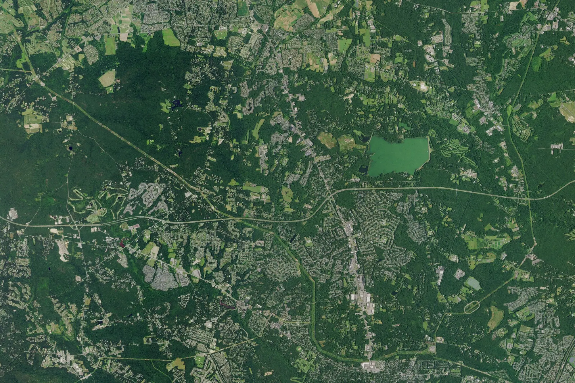 Aerial view of Turkey Swamp Park