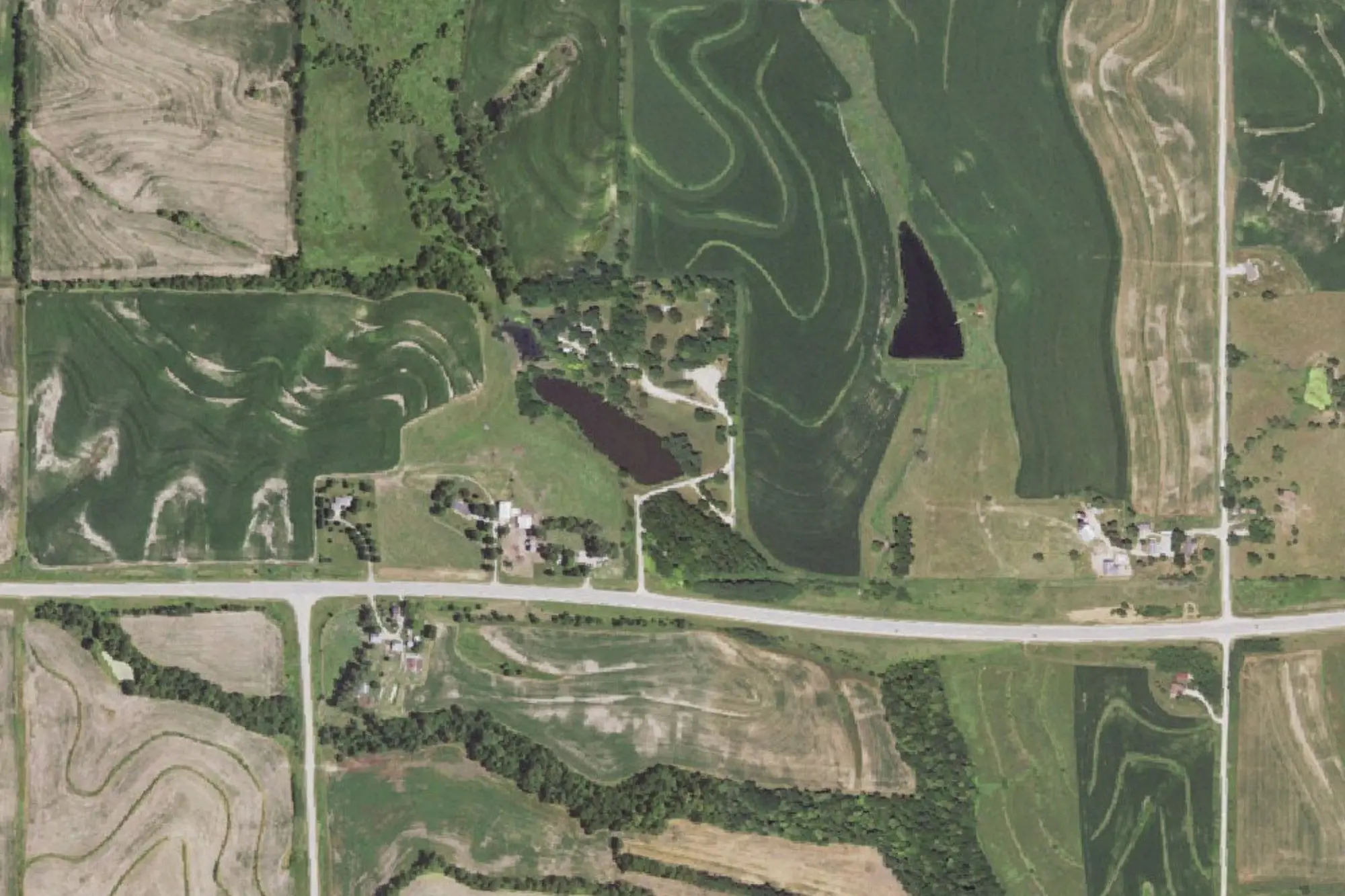 Aerial view of Pioneer Park