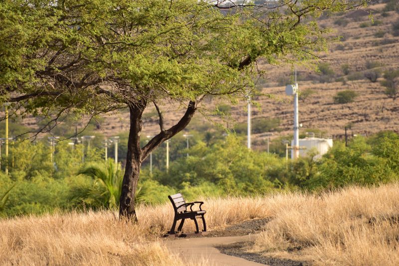 Bench along a winding path.