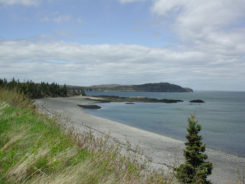 Raccoon Beach