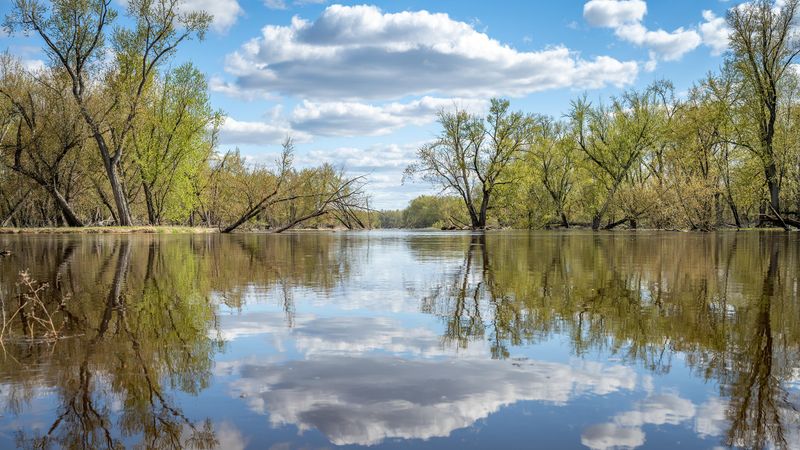 A scene of trees, clouds, and blue sky is reflected over calm water