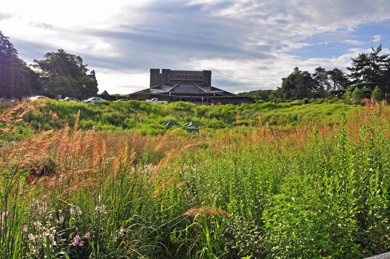 Native garden with the Filene Center in the background